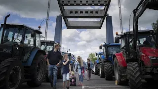 Dutch farmers worried by 'unrealistic' emissions reduction target