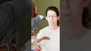 How to Train Your Parrot 🦜