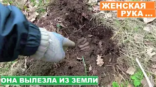 СЕРДЦЕ ОСТАНОВИЛОСЬ, когда из ЗЕМЛИ ПОКАЗАЛАСЬ ЖЕНСКАЯ РУКА!