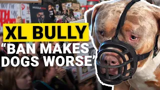 Banning UK's most dangerous breed makes XL Bullies "worse", says man who rescued over 40+ XL bullies