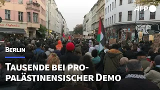 Tausende bei pro-palästinensischer Demo in Berlin | AFP