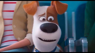 Max At Vet -The Secret Life Of Pets 2 (2019)