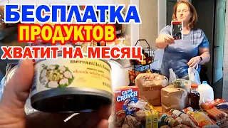 США 🇺🇸 Бесплатная еда в Америке / Продуктов хватит на месяц для большой семьи