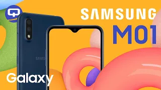 Samsung Galaxy M01 - долгожитель начального уровня/ QUKE.RU /