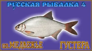 РР4 МЕДВЕЖЬЕ ГУСТЕРА / РУССКАЯ РЫБАЛКА 4 ГУСТЕРА МЕДВЕЖЬЕ ОЗЕРО / RUSSIAN FISHING 4 WHITE BREAM