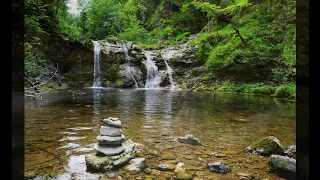 5 Min Of Nature Sounds  - Forest Sounds - Birds Singing - Water Sounds – Sounds W/O Music.