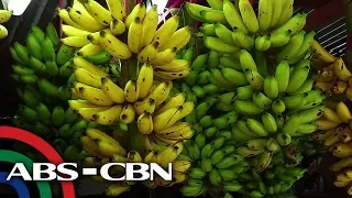 Salamat Dok: Iba’t Ibang Uri ng Saging | Consumer Health Tips