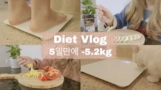 (SUB) ✨5 days diet challenge 🔥 | - 5.2kilos in 5 days (11.5lb)