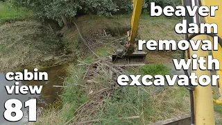 The Cracking Sound Of Removed Branches - Beaver Dam Removal With Excavator No.81 - Cabin View