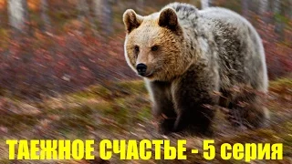 Охота на глухаря с лайкой, ТАЕЖНОЕ СЧАСТЬЕ 5