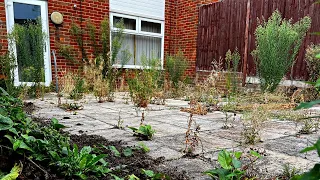 Feeling Trapped By RAMPANT Weed Growth On NEGLECTED Patio - *GARDEN TRANSFORMATION*