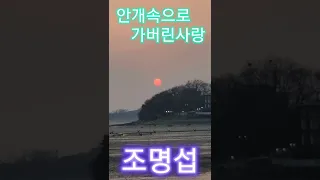 노을속에 울려퍼지는 #안개속으로가버린사랑 #조명섭