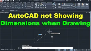 AutoCAD not Showing Dimensions when Drawing