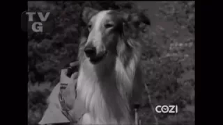 Lassie - Episode #204 - "The Explorers"- Season 6 Ep. 22 - 02/07/1960