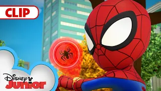 Meet Ms. Marvel's Puppy, Lockjaw! | Marvel's Spidey and his Amazing Friends | @disneyjunior