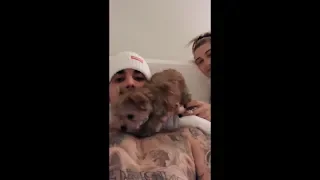 Justin Bieber all Instagram Stories ft. Hailey Baldwin (Bieber), Oscar, Jaxon Bieber etc. 2018/2019