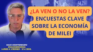 ¿LA VEN O NO LA VEN? ENCUESTAS CLAVE SOBRE LA ECONOMÍA DE MILEI | Maxi Montenegro #maximediodia