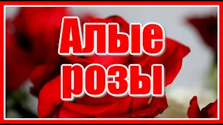 Алые розы, зачем вы такие красивые?! Валерий Залкин. Красивая и трогательная песня о любви.