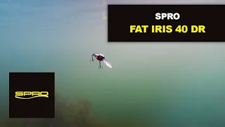 SPRO Fat IRIS 40DR