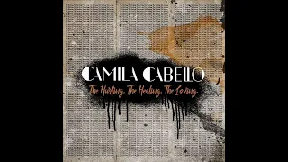 Camila Cabello - The Boy (Audio)