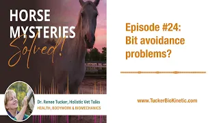 Podcast Episode 24: Bit avoidance problems?