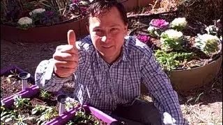 How can I grow a Vegetable Garden in Clay Soil & Other Organic Gardening Questions Answered