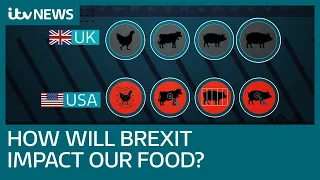 Brexit: What could it mean for animal welfare and the food we eat? | ITV News