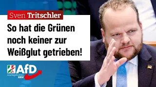 Grüne rasten völlig aus! – Sven Tritschler (AfD)