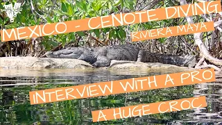 DIVING THE MAYAN RIVIERA, MEXICO 4K - CENOTES, CAVE DIVING, CROCODILES, TULUM, AKUMAL - TAJMA HA!