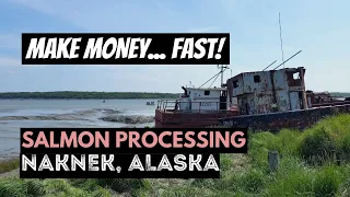 SALMON PROCESSING in ALASKA | SEASONAL WORK at LEADER CREEK FISHERIES in NAKNEK, ALASKA
