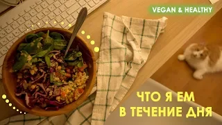 Что я ем в течение дня/ Магазин без упаковки Zero Waste/ VEGAN & HEALTHY/ WHAT I EAT IN A DAY - VLOG