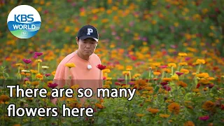 There are so many flowers here (2 Days & 1 Night Season 4 Ep.95-2) | KBS WORLD TV 211017