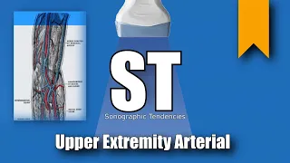 Upper Extremity Arterial Duplex Anatomy and Protocol