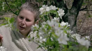 Geheimnisvolle Wildblumen: Blütenpracht im Wald Doku (2018)