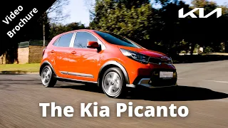 2023 Kia Picanto X Line - The Ultimate City Car