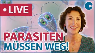 Parasiten – Schmarotzer im Darm | medical INSIGHTS