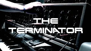 The Terminator (Cover)