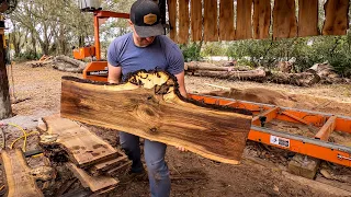 Black Walnut with a Burl on the Wood-Mizer LT15 Wide - 21