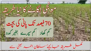 Zero tillage rice sowing|Rice cultivation on Regenerative Agriculture|Direct Rice Seedling DSR|