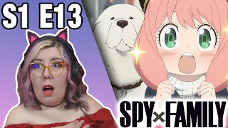 MISTER DOG?!? - SPY X FAMILY Episode 13 REACTION - Zamber Reacts