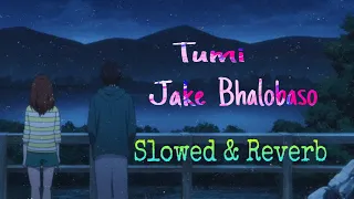 Tumi Jake Bhalobasho | Slowed and Reverb | Praktan | Iman | Anupam