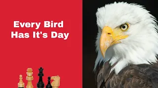 Every Bird Has Its Day | Henry Edward Bird vs Wilhelm Steinitz: London 1867