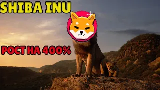 ИЛОН МАСК НЕ ВЛИЯЕТ НА SHIBA INU? SHIBA INU НОВОСТИ!