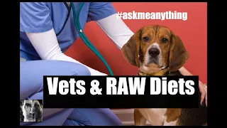 Veterinarians Don't Often Like RAW Diets for Dogs - ask me anything - Dog Health and Training