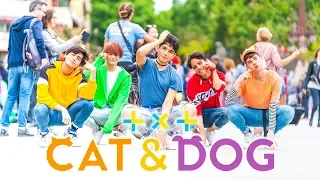 [KPOP IN PUBLIC] TXT (투모로우바이투게더) - Cat & Dog | Dance Cover by RStar (One Shot ver.)