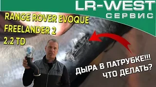 Ограничение мощности Range Rover Evoque | Неправильный приговор на замену турбины | LR WEST