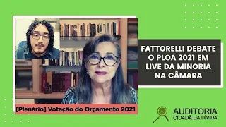 Fattorelli debate o Orçamento 2021 em live da Minoria da Câmara