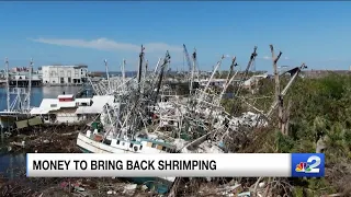 Money to bring back shrimping