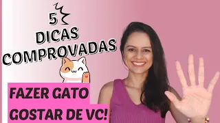 5 Dicas Comprovadas Para um Gato Gostar Mais de Você! 😻