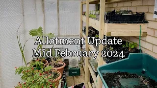 Allotment Update Mid February 2024, Allotment Diary, Allotment Gardening